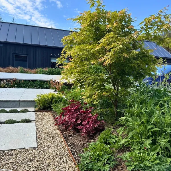 Landscaped courtyard with paving and planting
