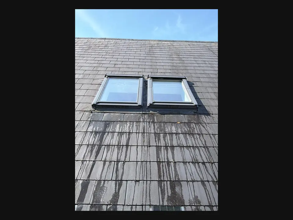 Clear View Cleaning completed exterior cleaning project 5 in Dublin