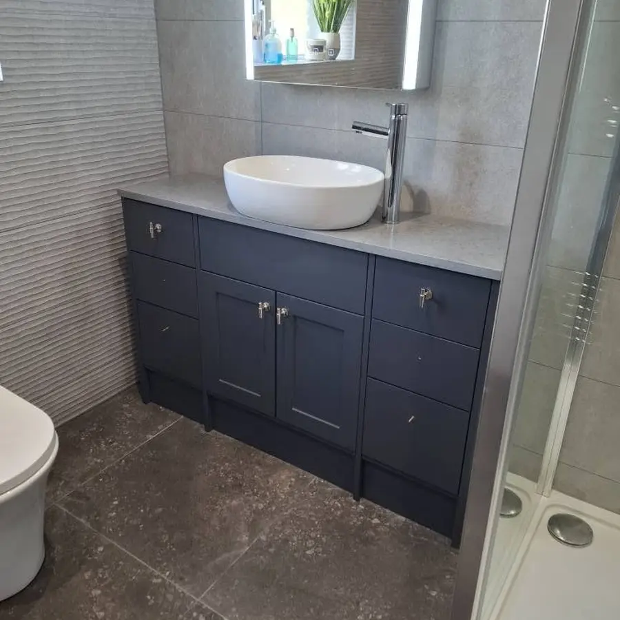 Bathroom vanity and shower renovation