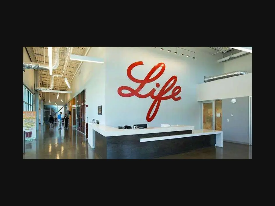 Hugh Courtney Ltd Eli Lilly office fit-out