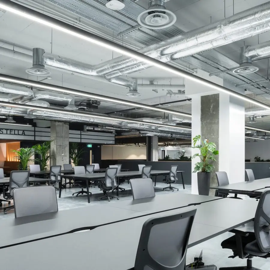 Manning & Buckley office fit-out and exposed electrical services at Rothco